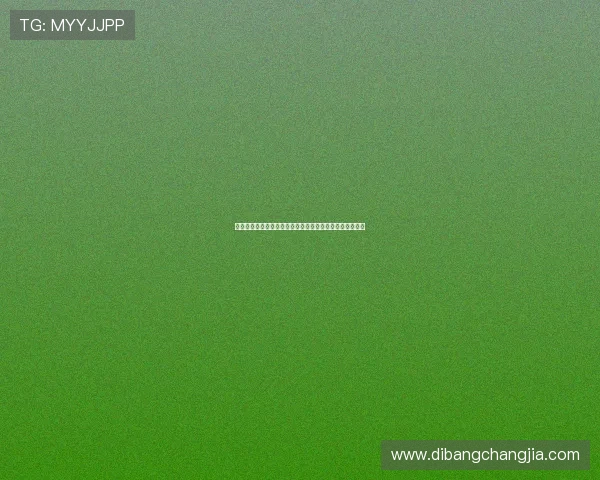 校徽体育会关注世界杯期间的安全保障措施与赛事组织情况